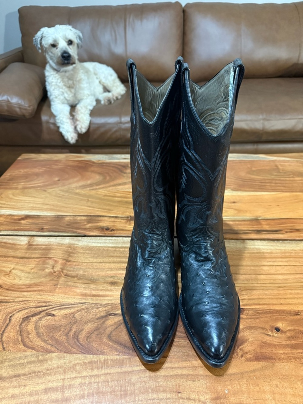 Full Quill Ostrich by Max Leather, Western Cowboy Boots Men’s Size 9-1/2 D EUC - Picture 3 of 11